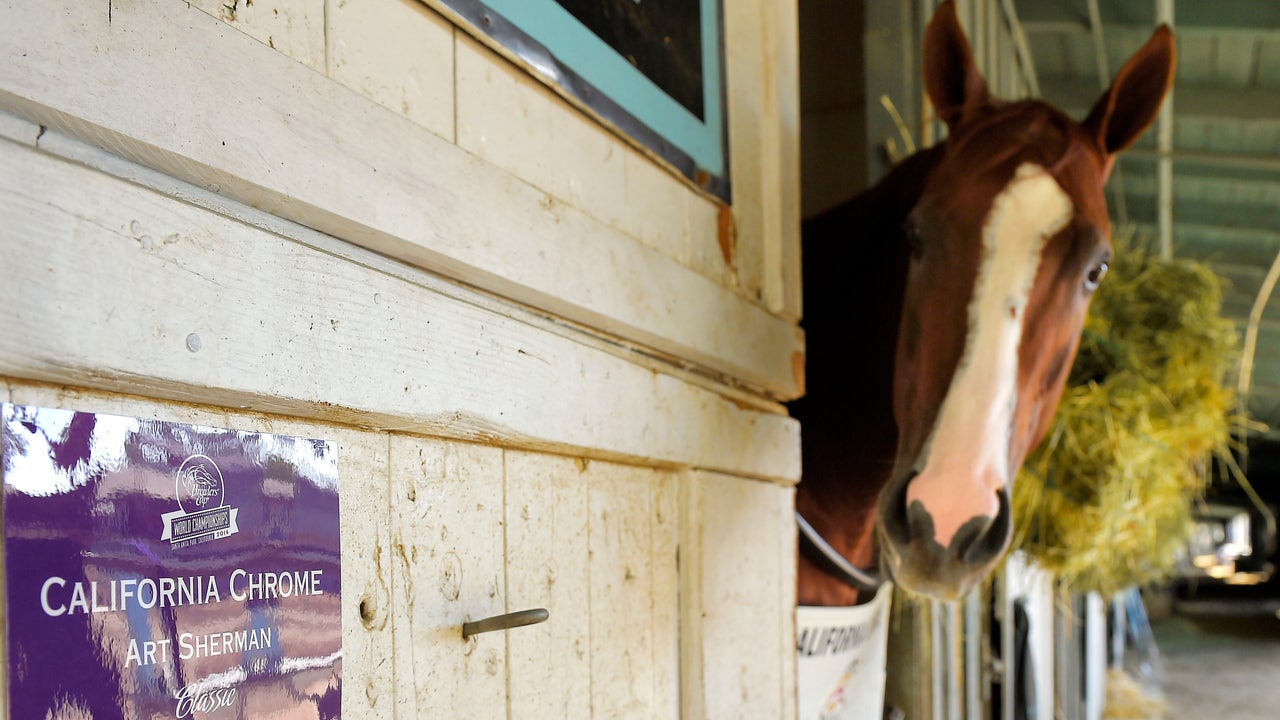 Assistant trainer: California Chrome will run 'race of life' at Breeders' Cup
